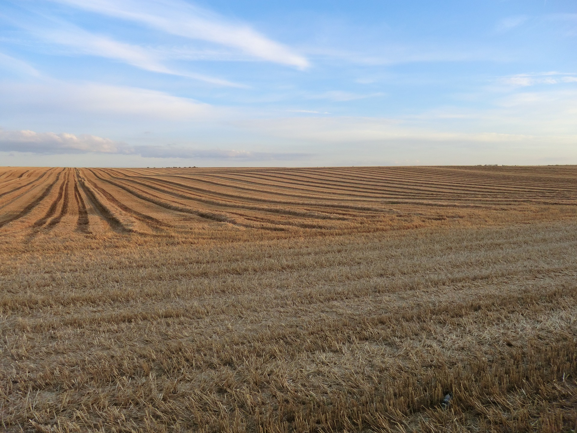 中國農業(yè)離不開微生物肥料